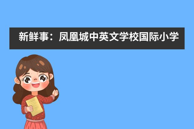 新鲜事：凤凰城中英文学校国际小学的学生主导假期交流会___1