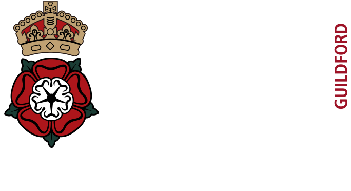 南京金地未来学校校徽logo