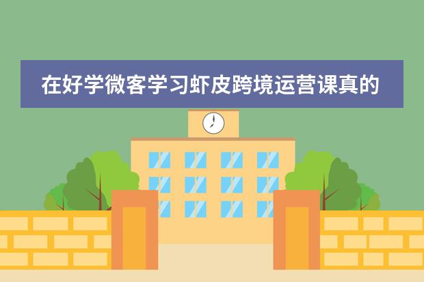 在好学微客学习虾皮跨境运营课真的值吗？