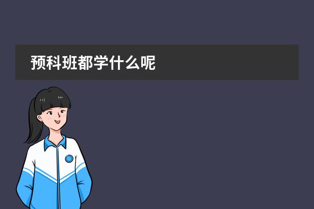 预科班都学什么呢